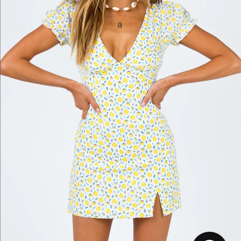 New princess polly mini dress